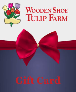 Wooden Shoe Gift Card